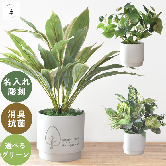 オーダーコメントページ フェイクグリーン オーダーコメントページ フェイクグリーン