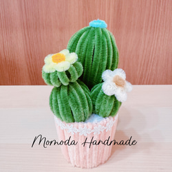 モールフラワー 可愛いサボテンの鉢植え ハンドメイド 多肉植物 アート