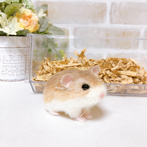 伏せ・ノーマルカラー ロボロフスキー ハムスター *羊毛フェルト* 羊毛