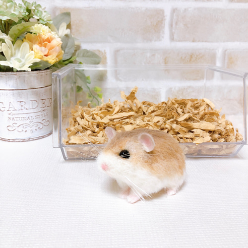 伏せ・ノーマルカラー ロボロフスキー ハムスター *羊毛フェルト* 羊毛