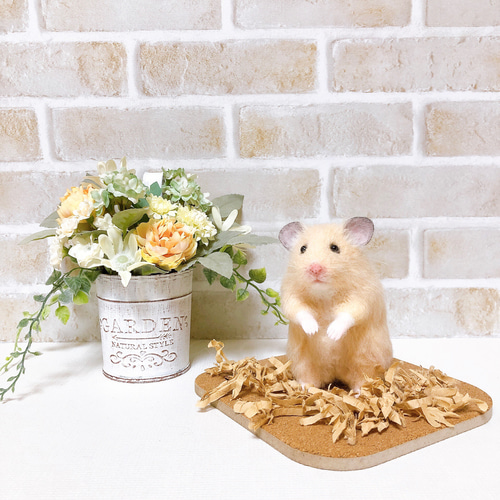 羊毛フェルト　すやすや眠るキンクマ 今月のキンクマちゃん🐹⁡ ⁡ #ハムスター #ハムスター好きな人と繋がり
