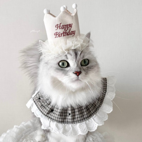 2色から選べる｜バースデークラウン》猫 ねこ 誕生日 王冠 うちのこ
