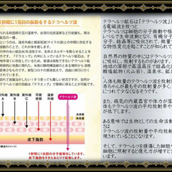 鑑定済★体験談ご覧ください！！本物保証★スポーツ選手の間でも大人気★命の光★話題のストーン★テラヘルツ★３ｍｍネックレス 12枚目の画像