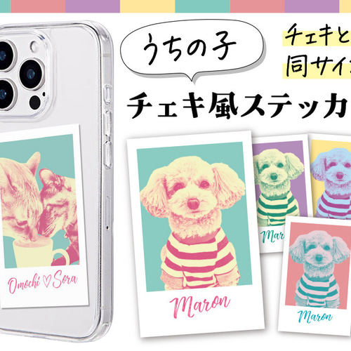 リア突 海の家 ステッカー だぎゃーす 箸 うちわ チェキ 顔はめパネル うちの子 チェキ風ステッカー（5枚） シール・ステッカー ウイン