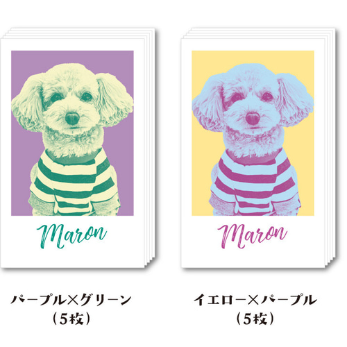 うちの子 チェキ風ステッカー（5枚） シール・ステッカー ウイン