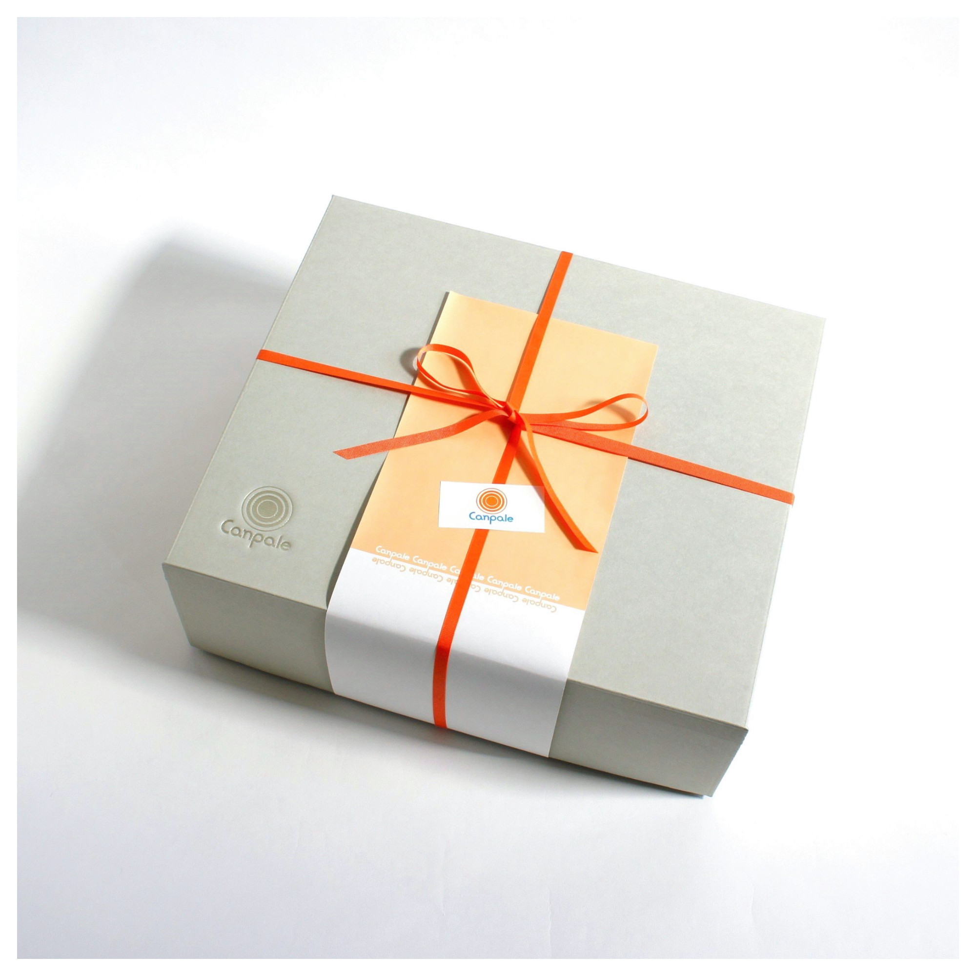 ”人気バッグ2点セット” PVCのスクエアサコッシュ（グレー）と帆布のペーパーバッグトート（ペールグリーン）《受注制作》