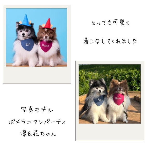 わんこビブ　名前刺繍　スタイ　犬　猫　ペットフォト　ぐりとぐら 7枚目の画像