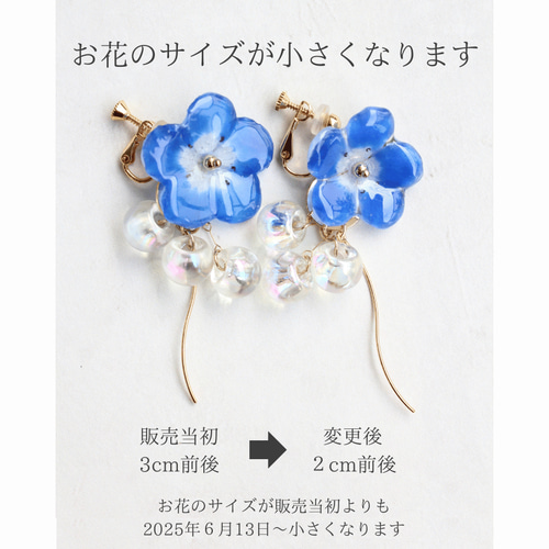 揺れる本物のネモフィラのロングピアス 誕生日プレゼントや母の日