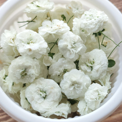 エクボ花＊ドライフラワー 3枚目の画像