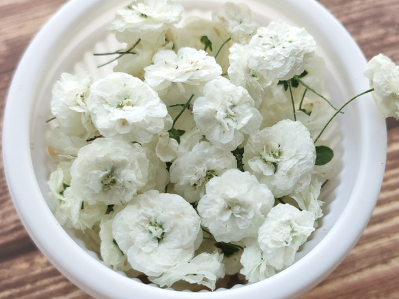 エクボ花＊ドライフラワー 3枚目の画像