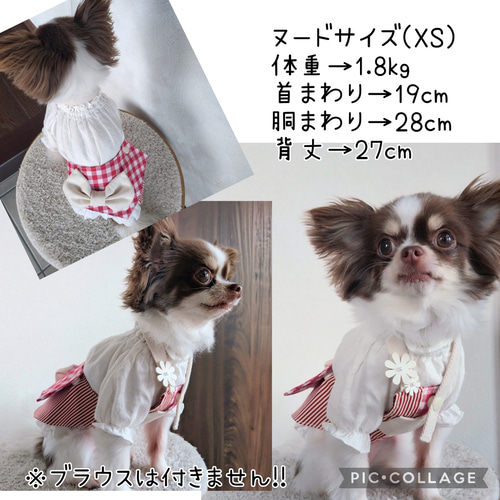 小型犬用 ♡ 春夏犬服 ♡ サイドでかリボン ♡ ギンガムチェック ♡ イ
