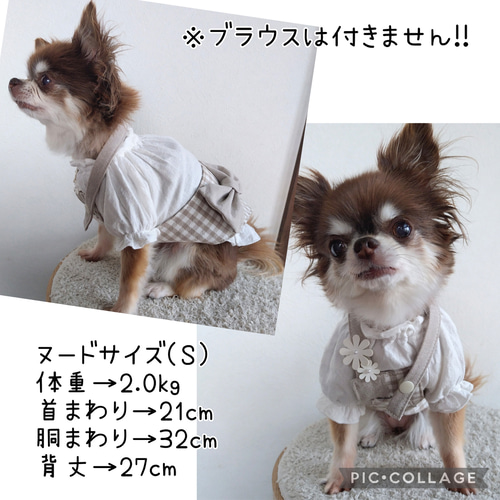 小型犬用 ♡ 春夏犬服 ♡ サイドでかリボン ♡ ギンガムチェック ♡ イ