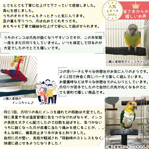 備長炭ブランコ 71番 Mサイズ インコブランコ バードブランコ 備長炭