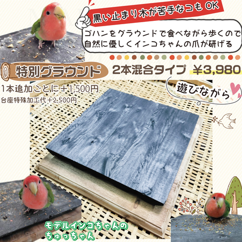 備長炭ブランコ 71番 Mサイズ インコブランコ バードブランコ 備長炭