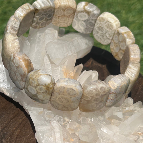 フォシルコーラルバングル　珊瑚玉バングル フォシルコーラルバングル 珊瑚玉バングル