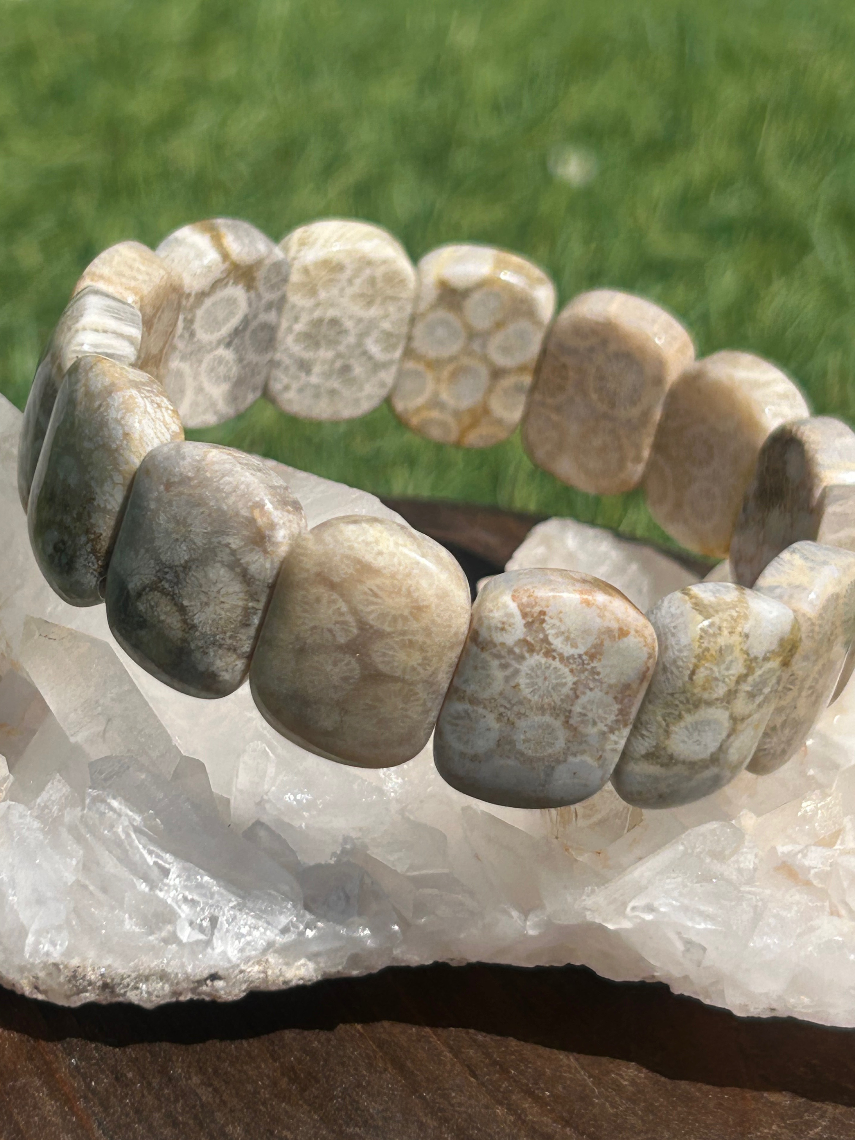 ✴︎フォッシルコーラル✴︎珊瑚の化石バングル