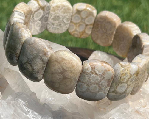 831994ceafc9c2c51d92feee7206c1