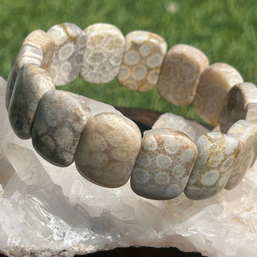 フォシルコーラル　方型バングル　化石珊瑚バングル　珊瑚玉バングル ✴︎フォッシルコーラル✴︎珊瑚の化石バングル バングル・リスト