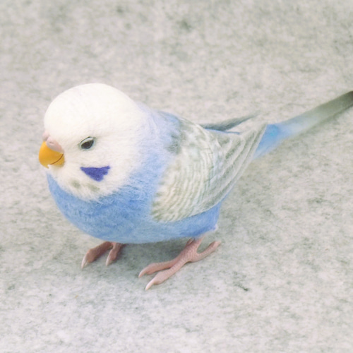 セキセイインコ 2112182 羊毛フェルト Primary Color Craft 通販