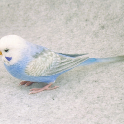 ワカケホンセイインコ 1807152 羊毛フェルト Primary Color