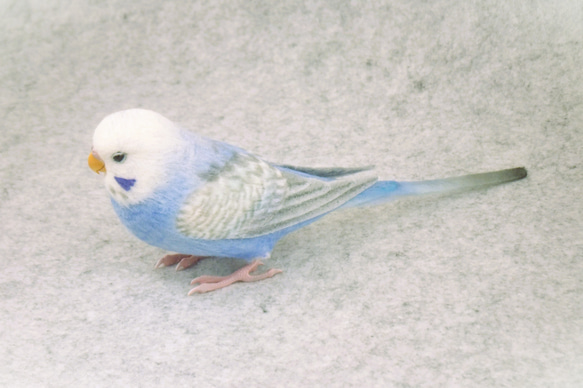 セキセイインコ 2112182 羊毛フェルト Primary Color Craft 通販