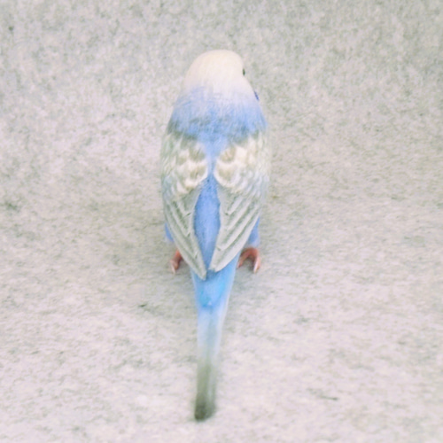 セキセイインコ 2112182 羊毛フェルト Primary Color Craft 通販