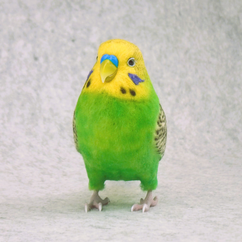 セキセイインコ 羊毛フェルト ぷっくら羊毛フェルトのセキセイインコがま口 246 | iichi 日々