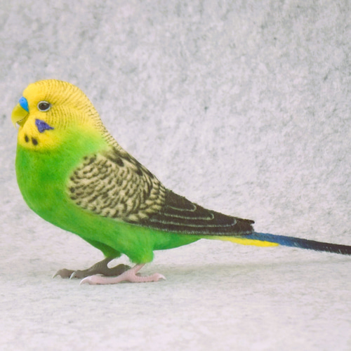 セキセイインコ 2111282 羊毛フェルト Primary Color Craft 通販
