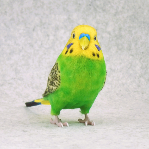 あぃあぃ様❤セキセイインコ オリジナル オブジェ♡ あぃあぃ様