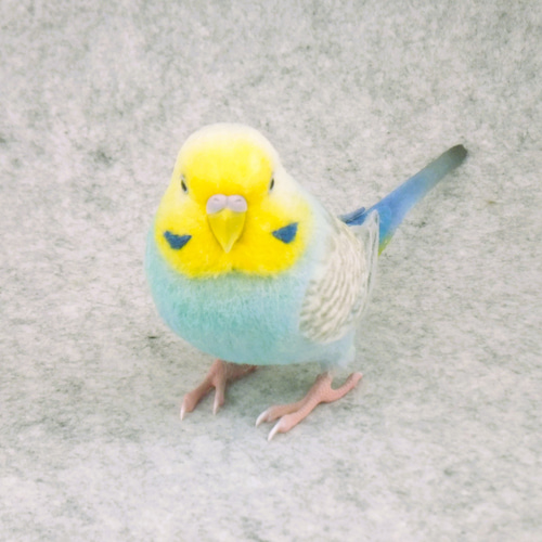 セキセイインコ 2112031 羊毛フェルト Primary Color Craft 通販