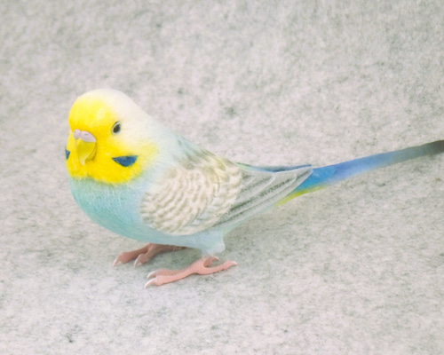 羊毛フェルト　　セキセイインコ 羊毛フェルトでセキセイインコを作ってみました。/ Make a