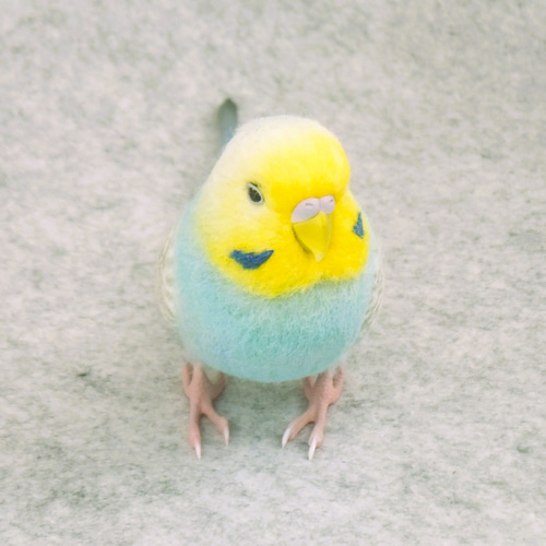 羊毛フェルト　セキセイインコ 羊毛フェルト リアルなセキセイインコさん｜kotolier*コトリエの