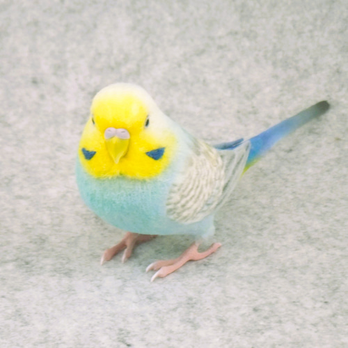 セキセイインコ 2112031 羊毛フェルト Primary Color Craft 通販
