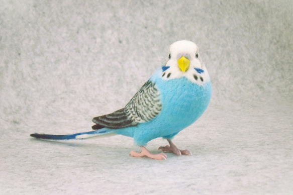 セキセイインコ 2112071 羊毛フェルト Primary Color Craft 通販