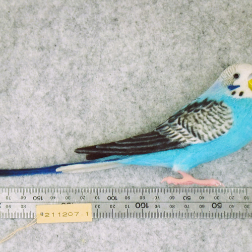 セキセイインコ 2112071 羊毛フェルト Primary Color Craft 通販