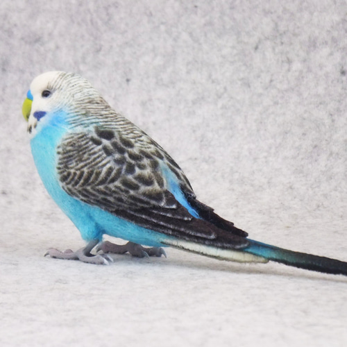 セキセイインコ 2105302 羊毛フェルト Primary Color Craft 通販