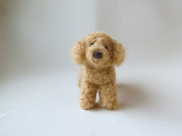 ラブラドゥードルの仔犬 羊毛フェルト hinatabokko 通販