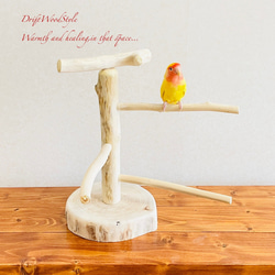 流木の止まり木  取り外しができる止まり木スタンド Sサイズ インコ オウム 鳥 バードスタンド パーチ N1 3枚目の画像