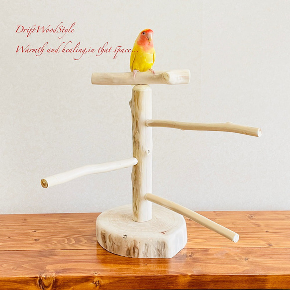 流木の止まり木  取り外しができる止まり木スタンド Sサイズ インコ オウム 鳥 バードスタンド パーチ N1 1枚目の画像