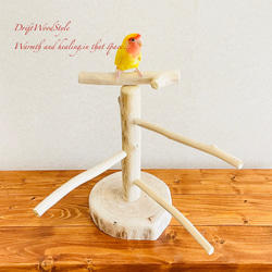 流木の止まり木  取り外しができる止まり木スタンド Sサイズ インコ オウム 鳥 バードスタンド パーチ N1 2枚目の画像