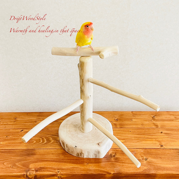 流木の止まり木  取り外しができる止まり木スタンド Sサイズ インコ オウム 鳥 バードスタンド パーチ N1 2枚目の画像