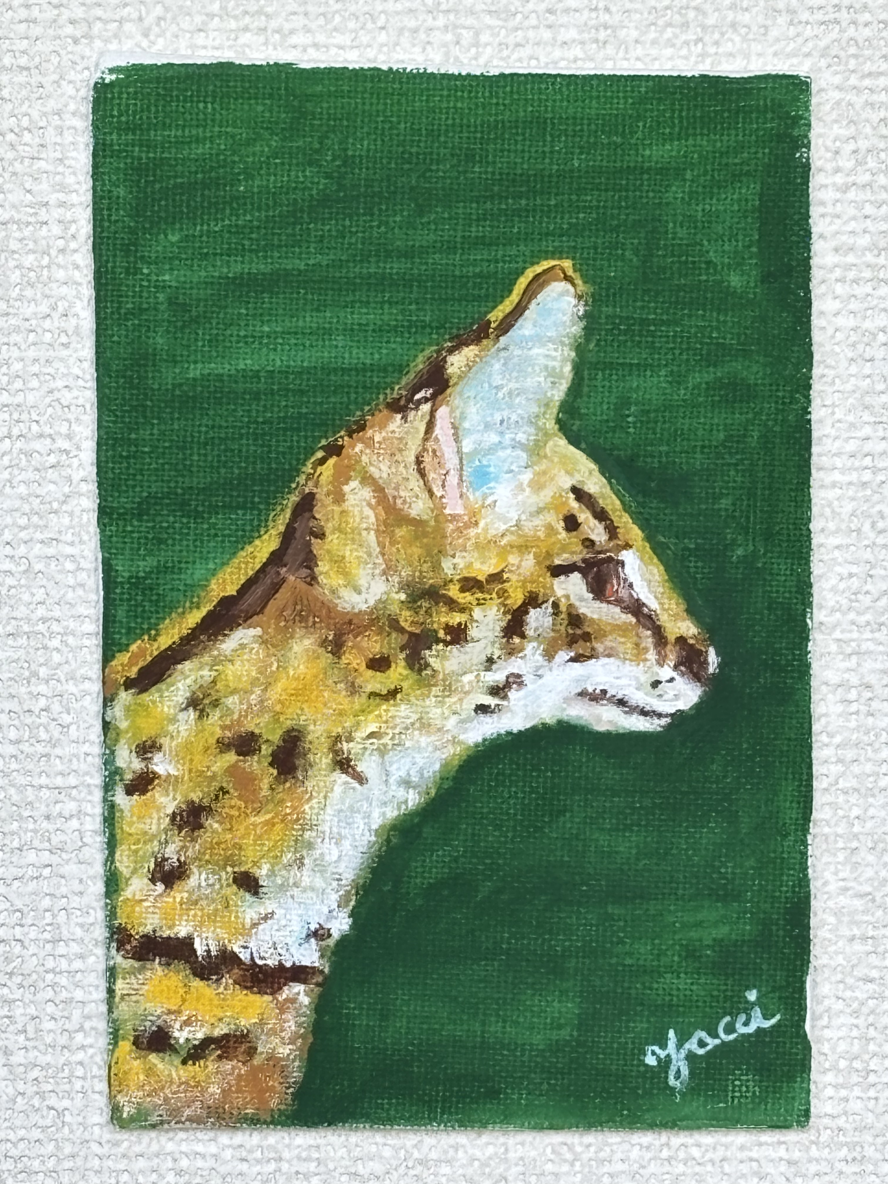 サーバルキャット(Serval)