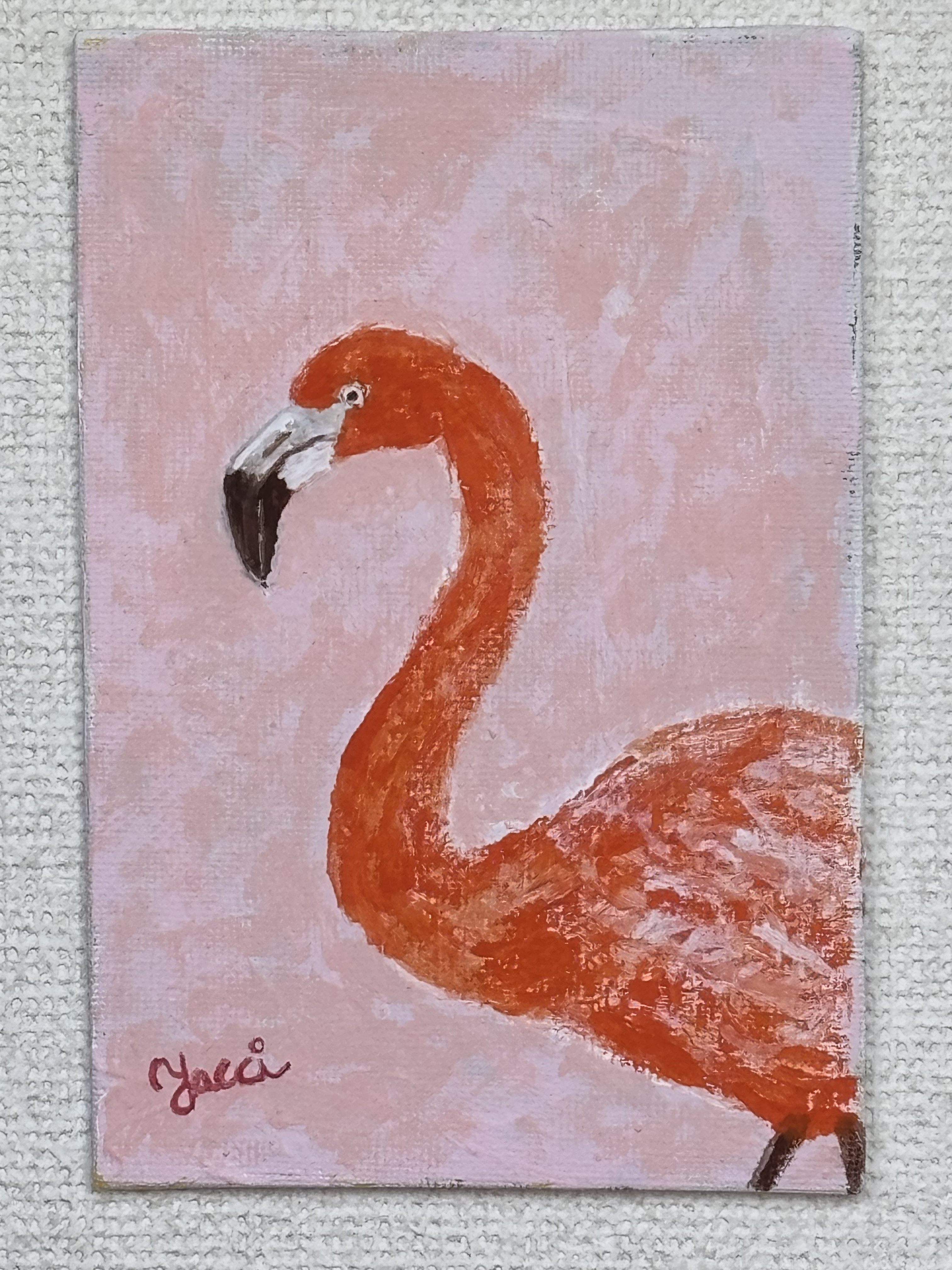 フラミンゴ(Phoenicopterus)