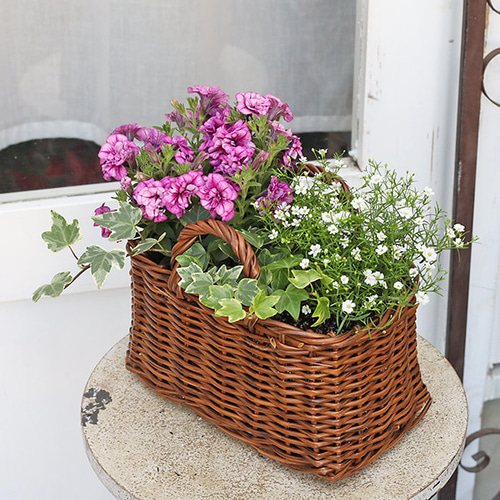 季節の花寄せ植え おまかせ ナチュラルバスケット スクエア おしゃれ