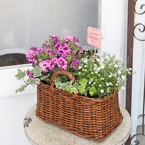 春の寄せ植えバスケット 季節の花寄せ植え おまかせ ナチュラルバスケット スクエア おしゃれ