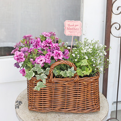 季節の花寄せ植え おまかせ ナチュラルバスケット スクエア おしゃれ