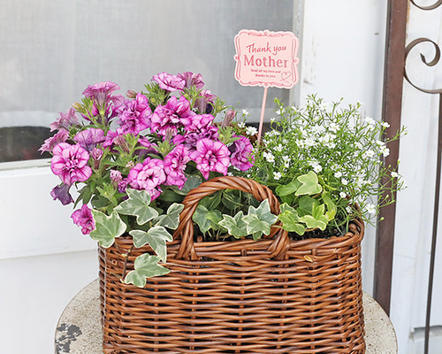 f06f937c763fbcc797934f0ea68f75