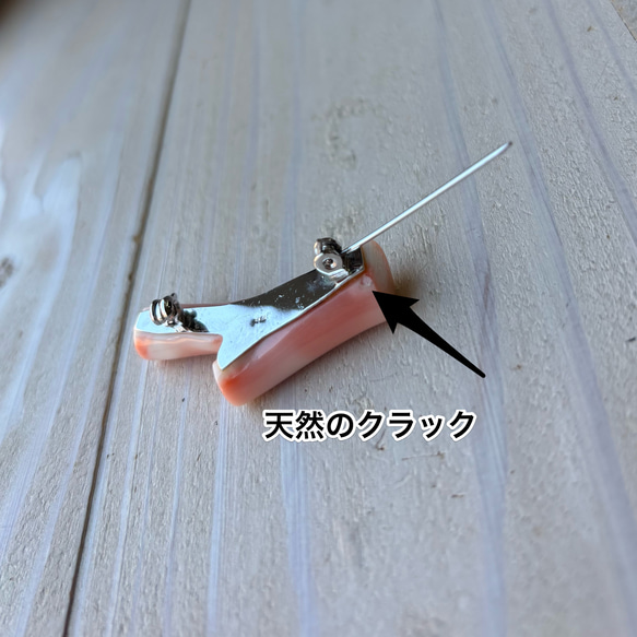  第19張的照片