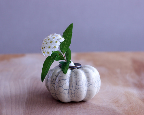 7d1c92c379b0812c1810ab9a8550ed