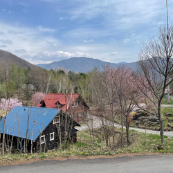 蝙蝠袖連身裙，薩克森藍（藤吉田染） 第14張的照片